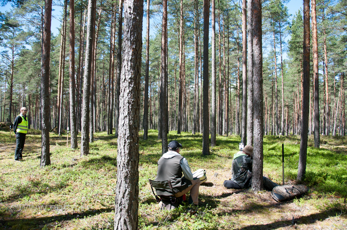 PFTK  in Joulumae (90)